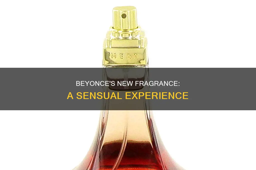 what is beyonce