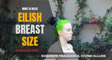 Billie Eilish's Breasts: Size, Shape, and the Media