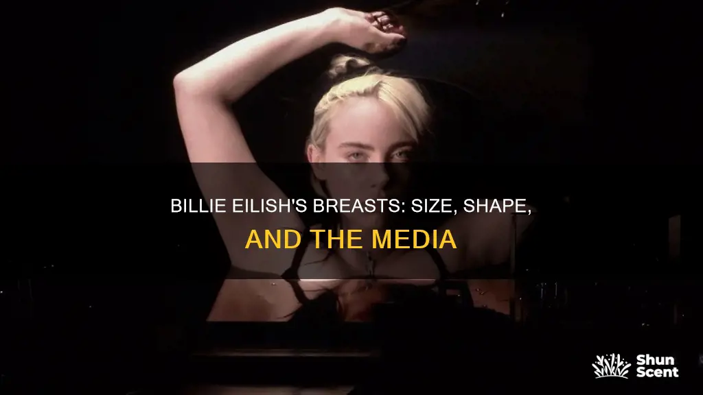 what is billie eilish breast size