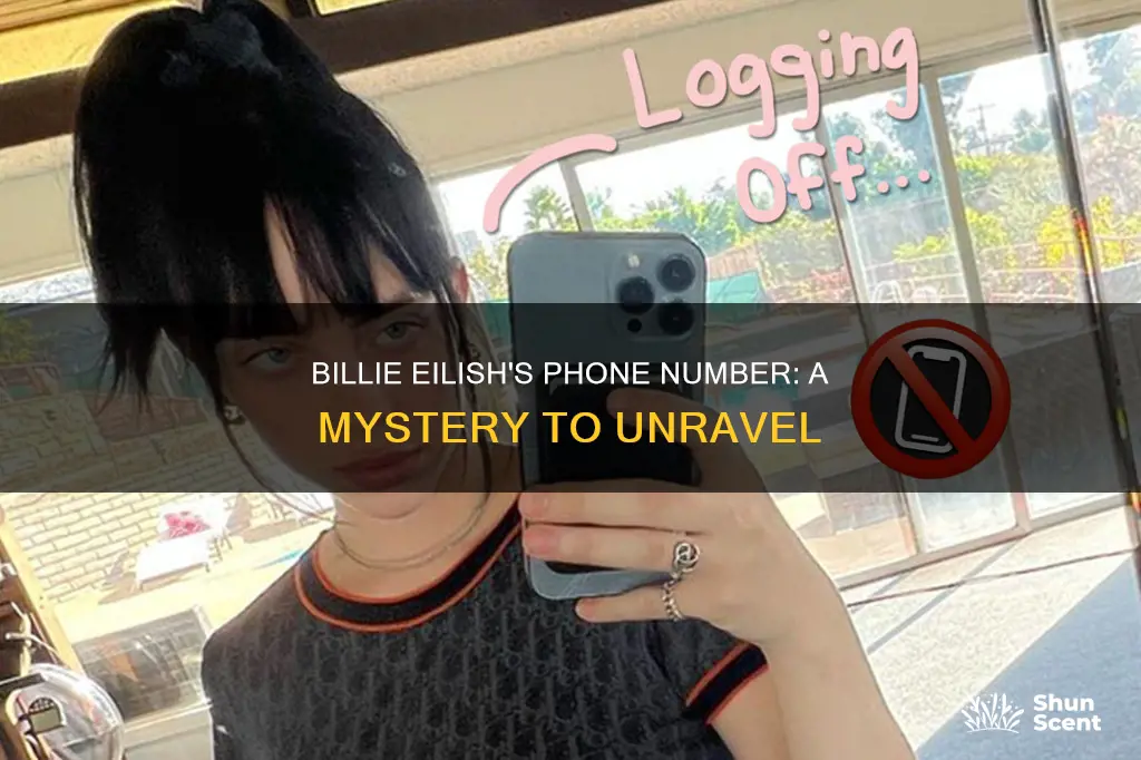 what is billie eilish number