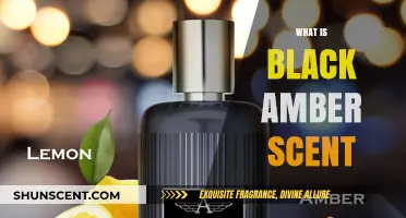 Unveiling the Mysterious Allure of Black Amber Fragrance