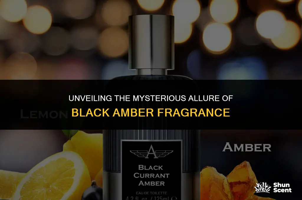 what is black amber scent