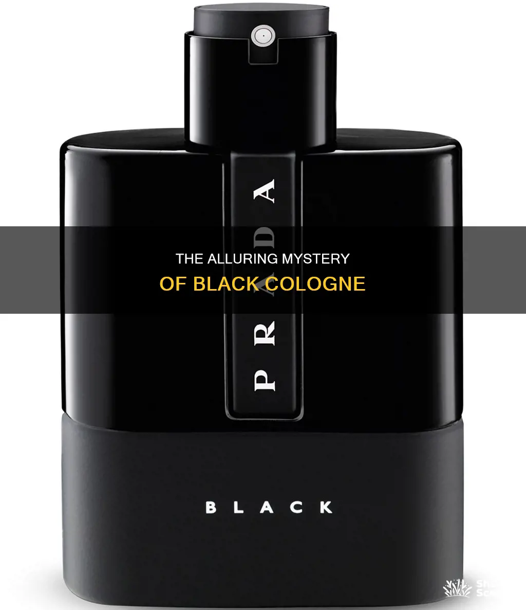 what is black cologne