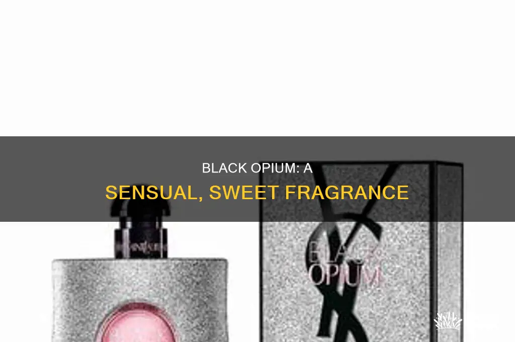 what is black opium perfume