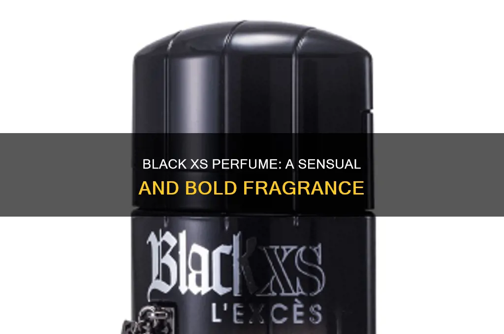 what is black xs perfume