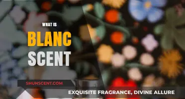 Unveiling the Mystery: What Is Blanc Scent?