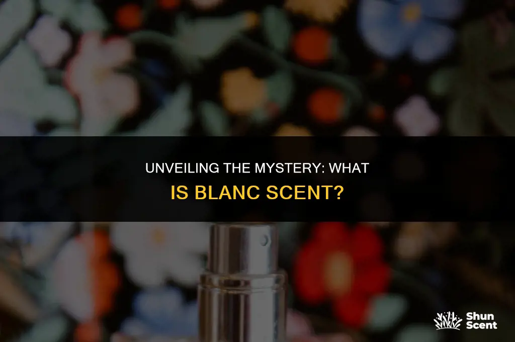 what is blanc scent