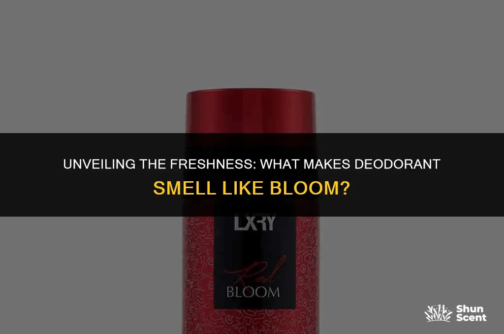 what is bloom scent on the deodarant
