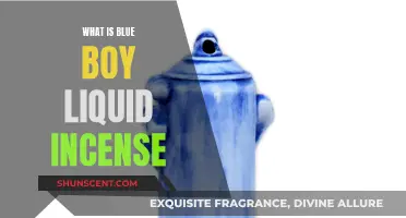 Blue Boy Liquid Incense: A Soothing Aromatic Experience