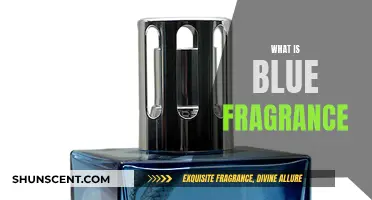 Blue Fragrance: A Sensory Experience in Perfumes