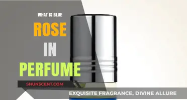 Blue Rose in Perfumes: A Rare Scent