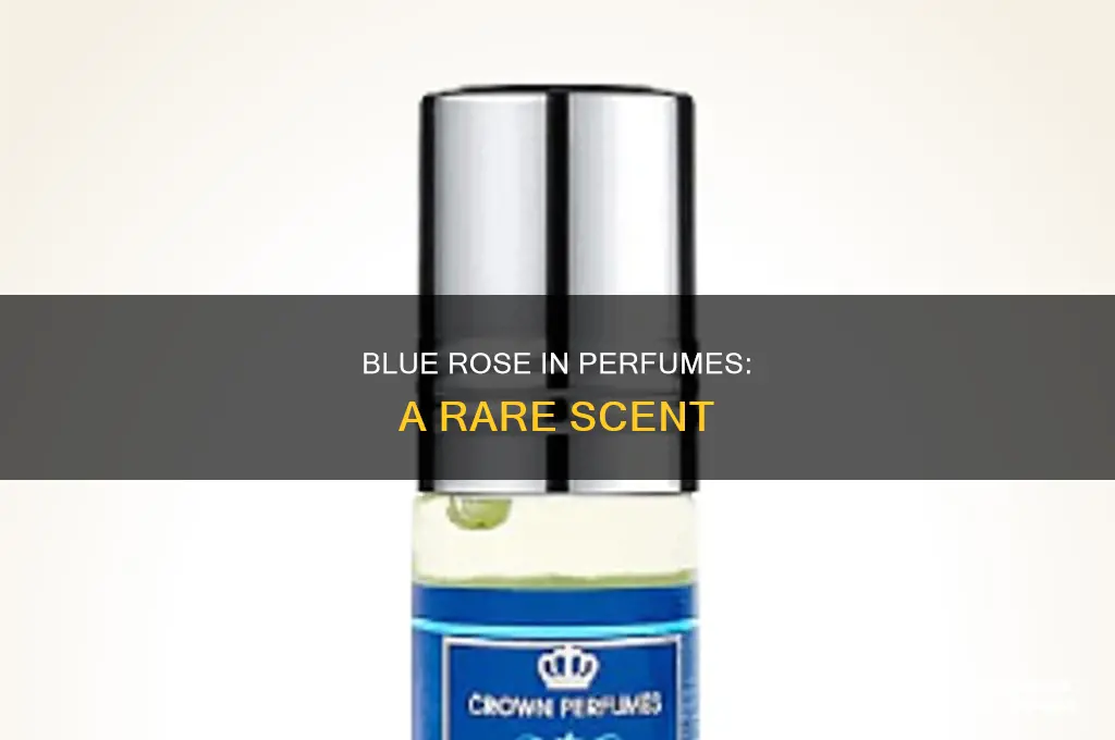 what is blue rose in perfume