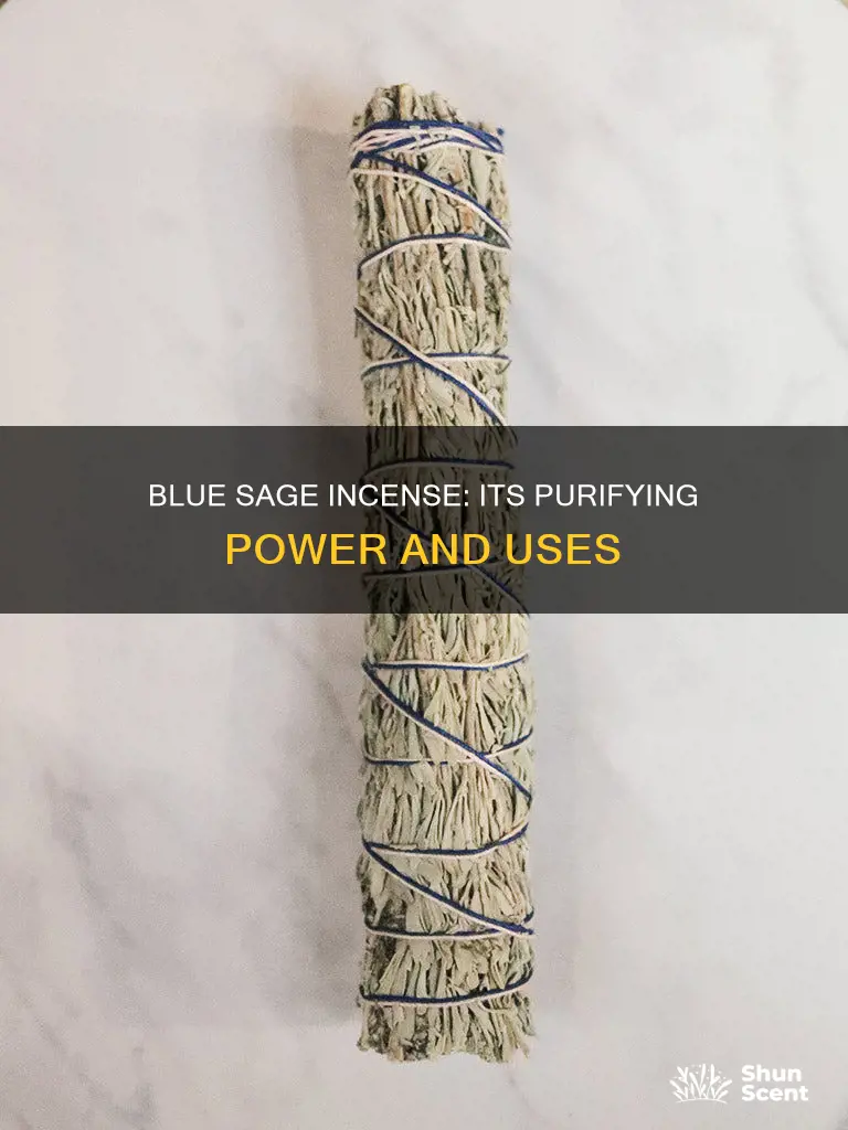 what is blue sage incense used for