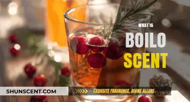 Unveiling the Mystique: What is Boilo Scent?