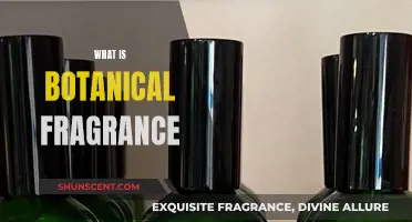 The Art of Botanical Fragrance: Nature's Aromatic Secrets