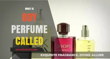 Boy Perfume: What's in a Name?