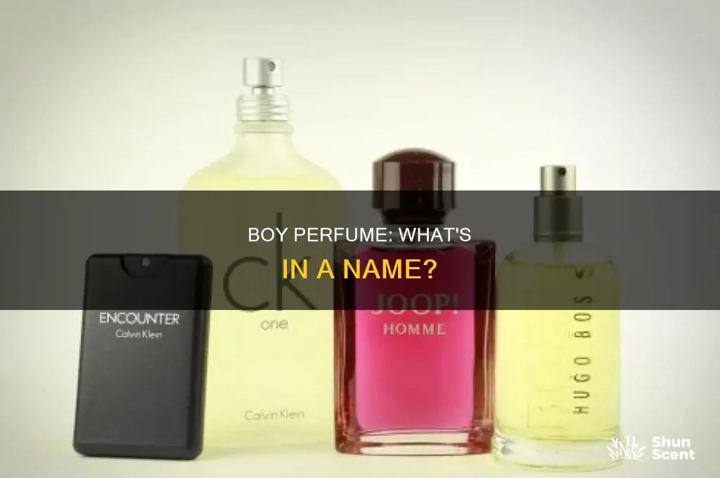 what is boy perfume called