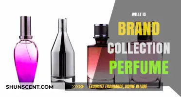Brand Collection Perfume: The Ultimate Guide