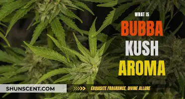 Bubba Kush Aroma: Unveiling the Enticing Scent of This Strain