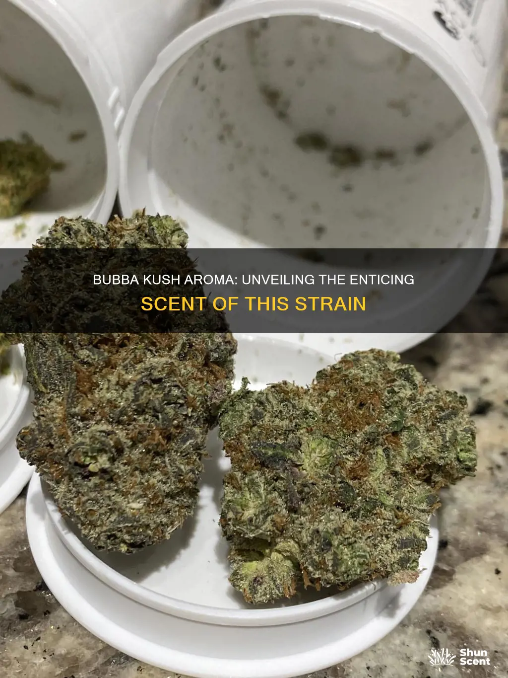 what is bubba kush aroma