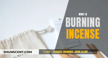Incense 101: Burning Incense Explained