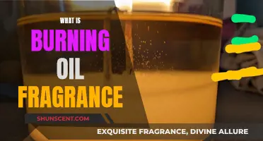 The Magical World of Burning Oil Fragrance