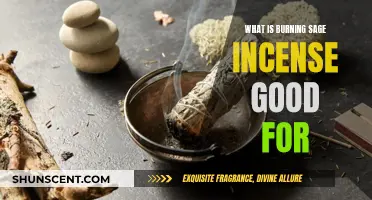 Benefits of Burning Sage Incense for Mind and Body