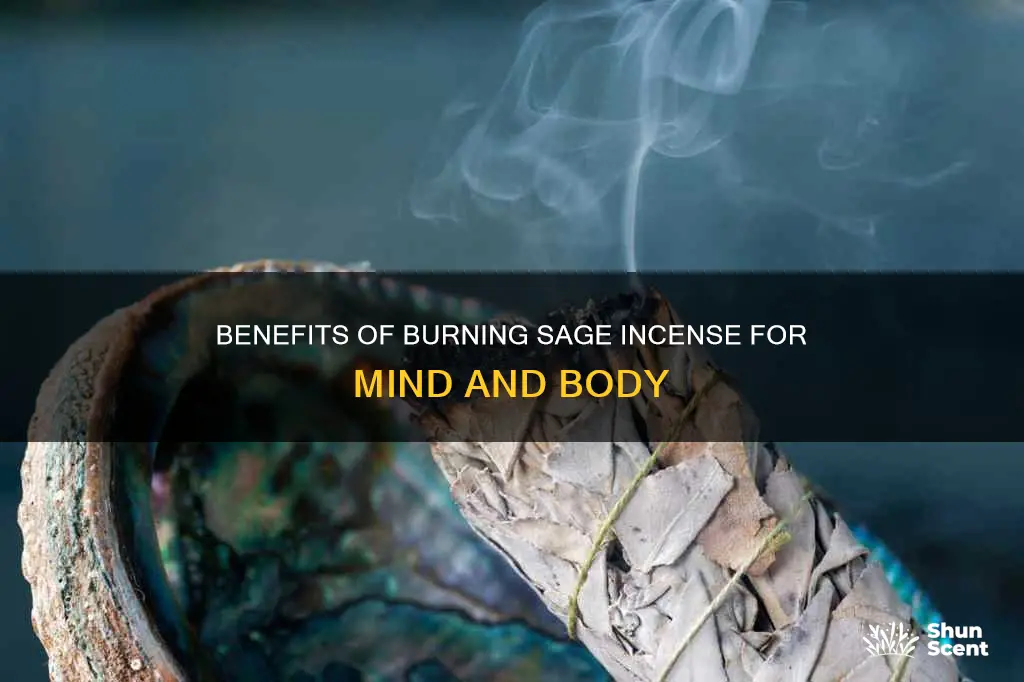 what is burning sage incense good for