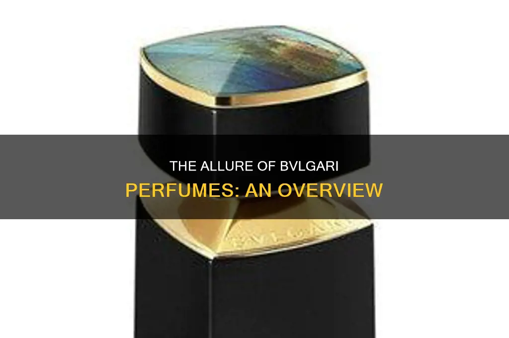 what is bvlgari perfume