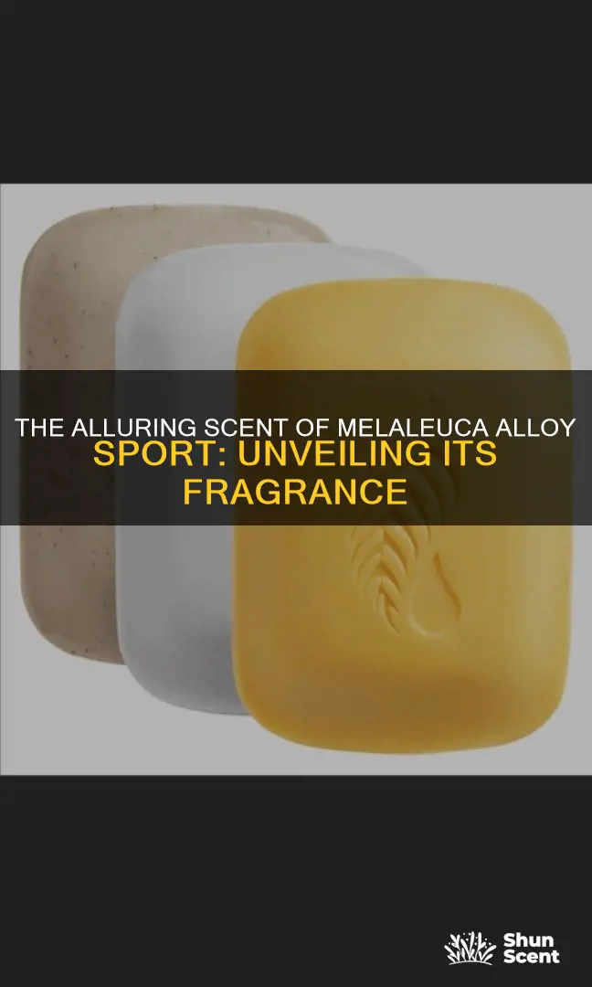what is c thè fragrance of melaleuca alloy sport