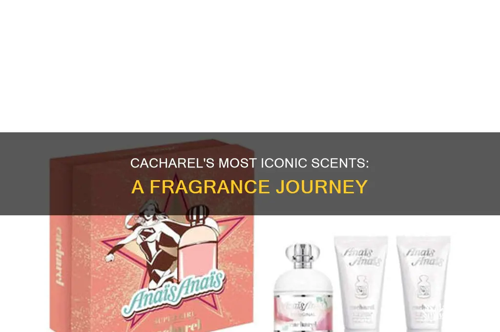 what is cacharel