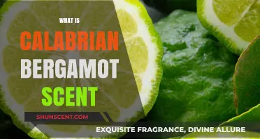 Unveiling the Alluring Calabrian Bergamot: A Citrusy Delight