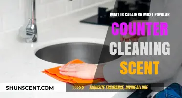 Discover Caldera's Top Counter Cleaning Scent: A Fresh Perspective