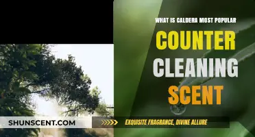 Discover Caldera's Top Counter Cleaning Scent: Fresh and Invigorating!