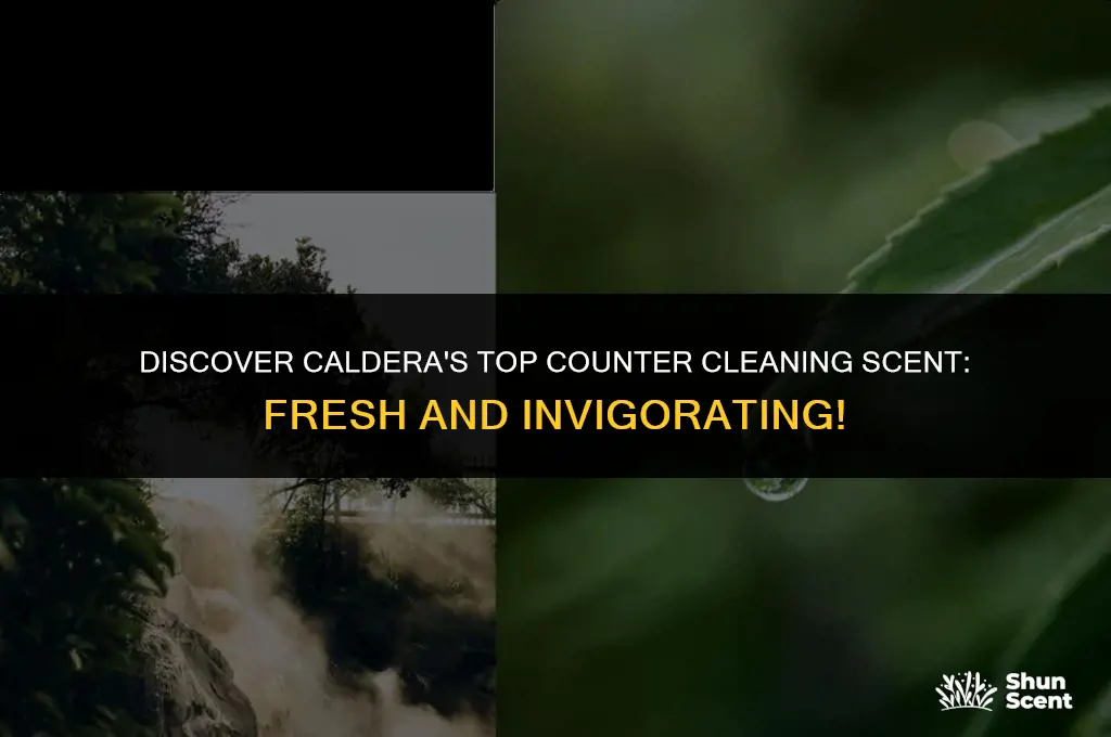 what is caldera most popular counter cleaning scent