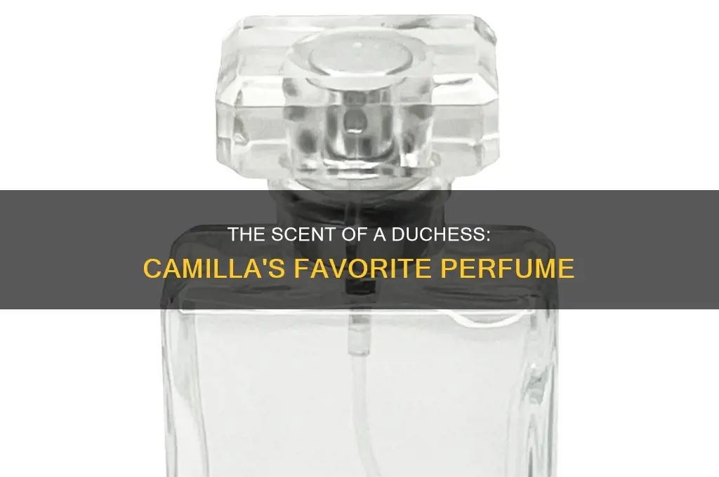 what is camilla