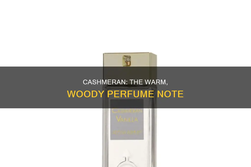 what is cashmeran in perfume