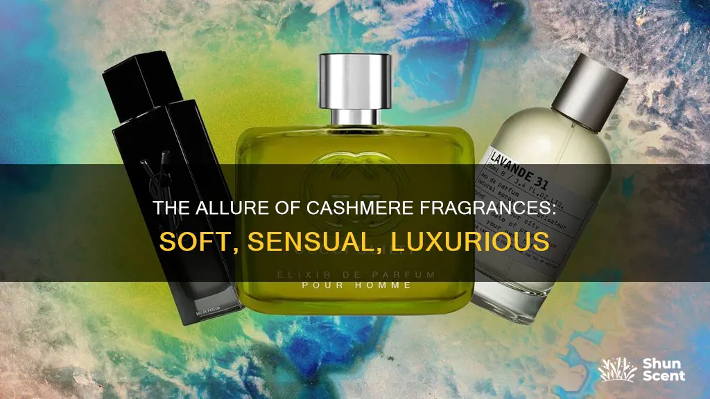 what is cashmere fragrance