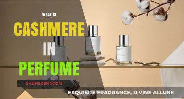 Cashmere Notes: The Soft, Sensual Perfume Ingredient