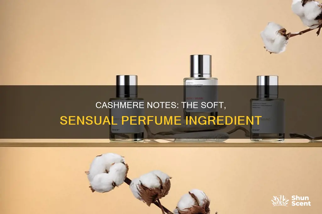what is cashmere in perfume