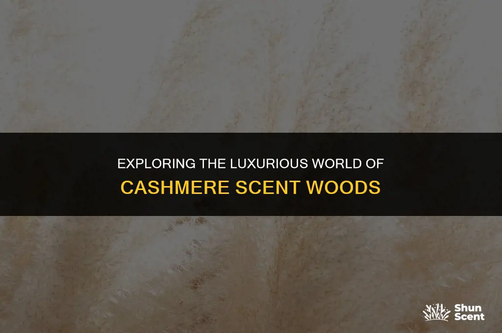 what is cashmere scent woods