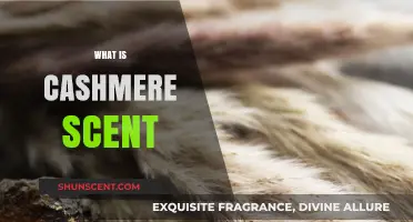 Discover the Luxurious and Cozy Cashmere Scent: A Fragrance Guide