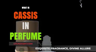 The Blackcurrant Note: Cassis in Perfumes