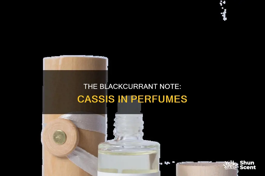 what is cassis in perfume