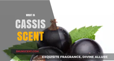 Exploring the Rich, Fruity Aroma of Cassis Scent: A Guide