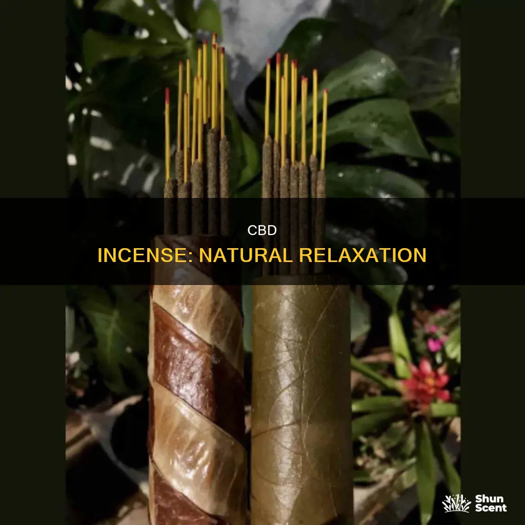 what is cbd herbal incense