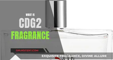 The Intriguing CDG2 Fragrance: What's the Appeal?