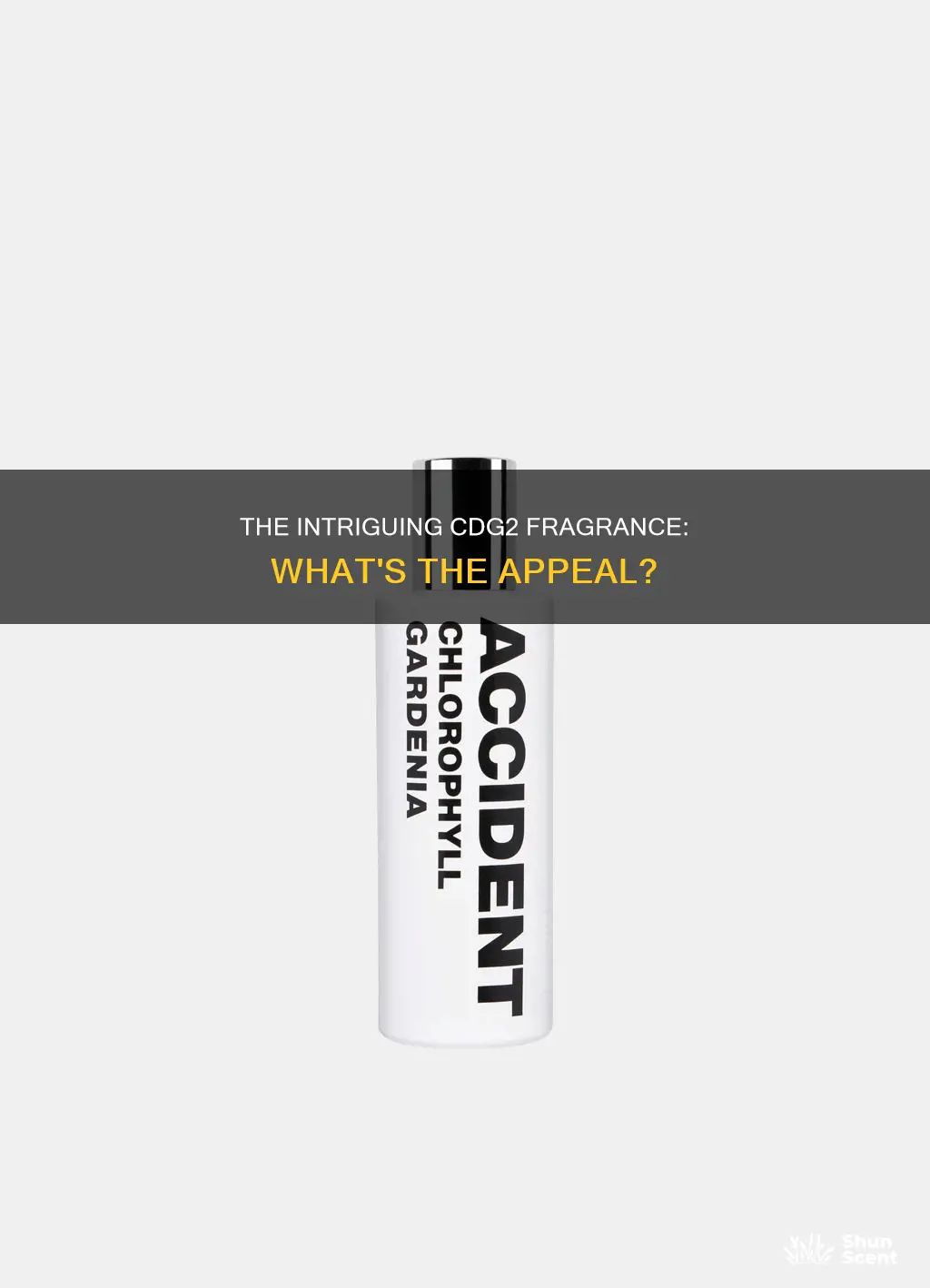 what is cdg2 fragrance