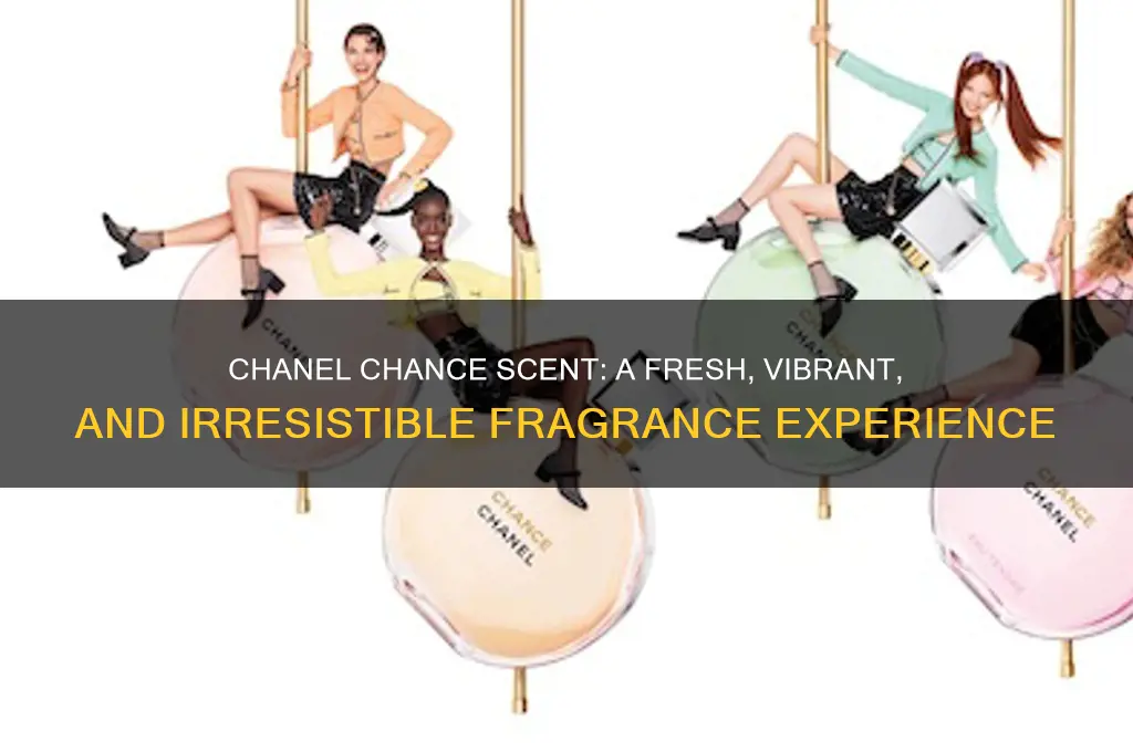 what is chanel chance scent like