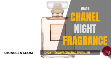 The Alluring Chanel Night Fragrance: A Sensual Experience